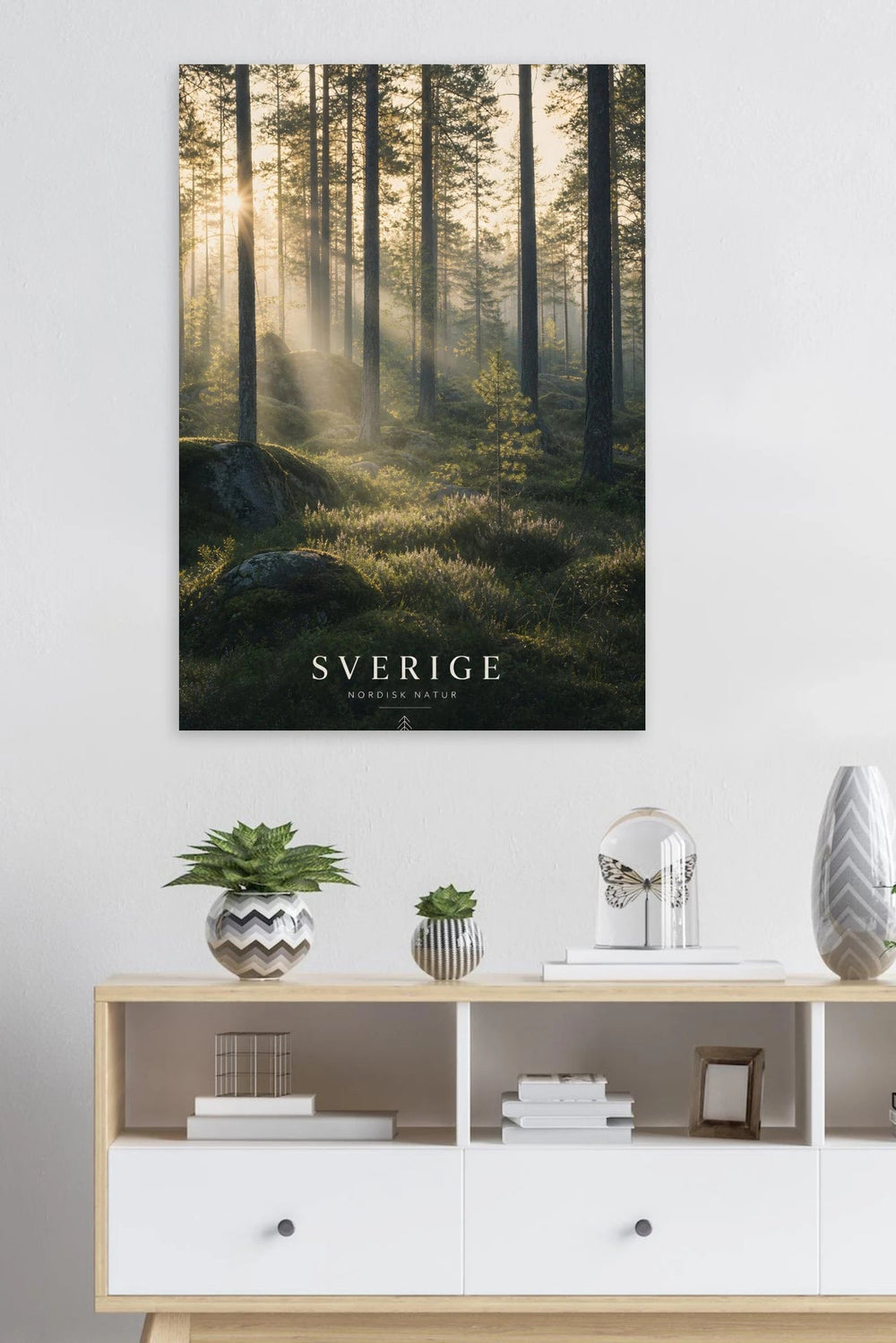 Swedish Forest Morning